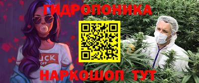 mdpv Ачхой-Мартан