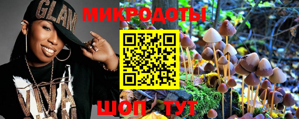 Новозыбков  Галлюциногенные грибы Psilocybine cubensis  где найти   Вход с VPN 