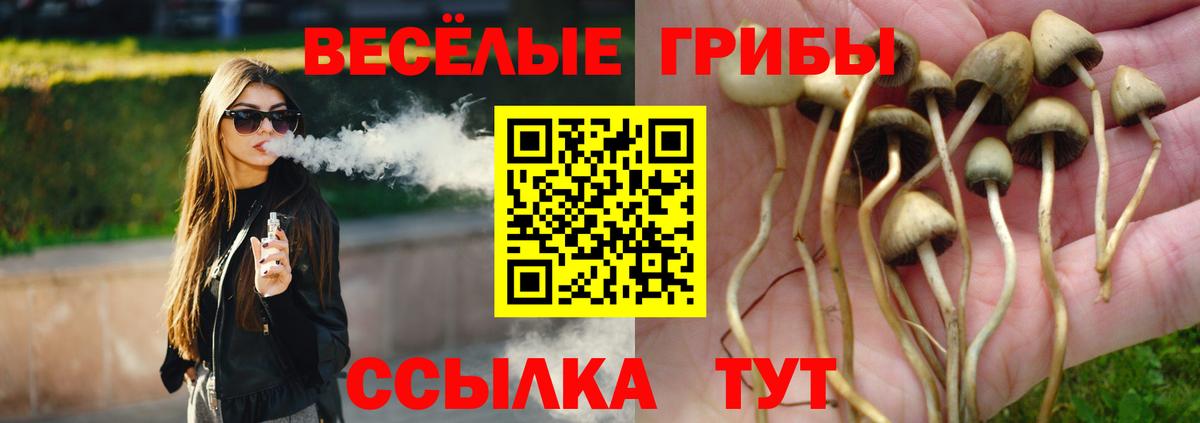 Псилоцибиновые грибы ЛСД Новозыбков